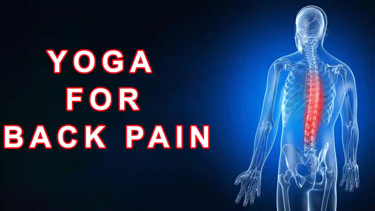 Yoga for Back Pain (Lower Back and Upper Back)
