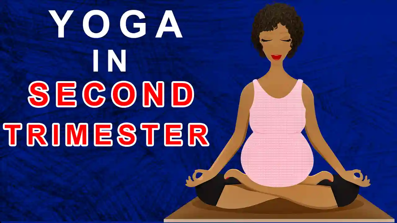 Yoga poses for the Second Trimester of the Pregnant Lady