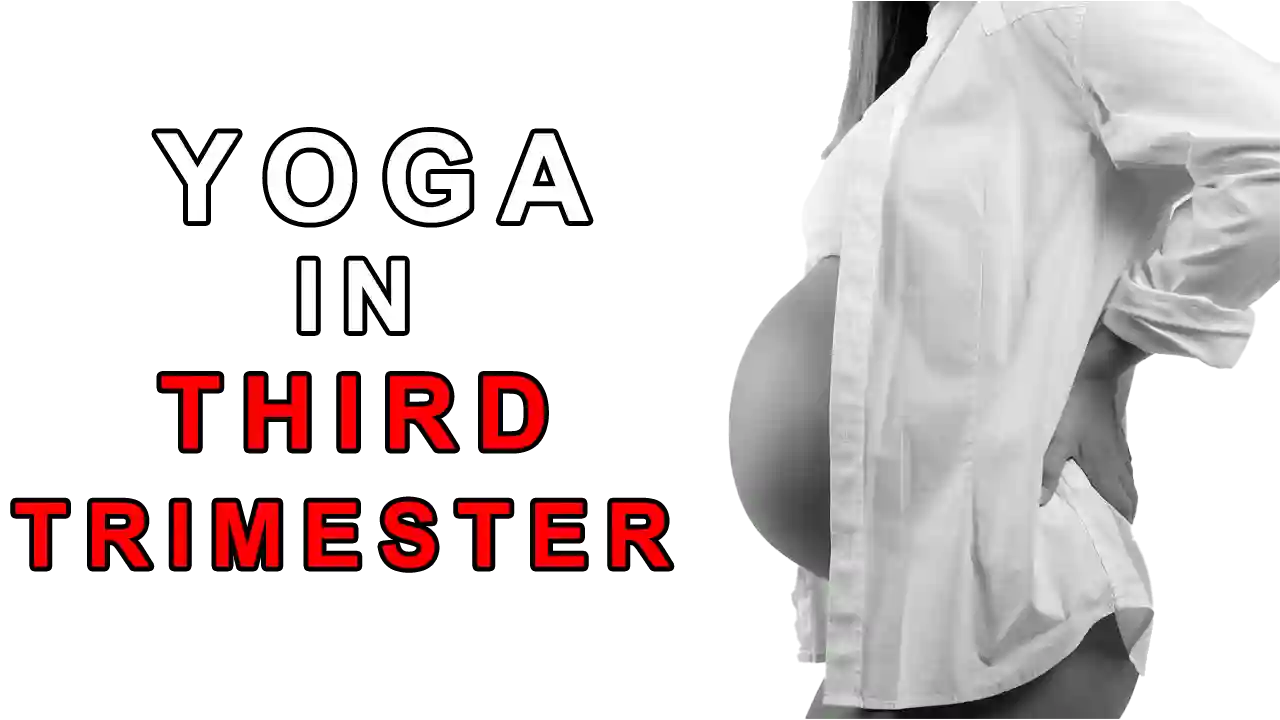 Yoga poses for the Third Trimester of the Pregnant Lady